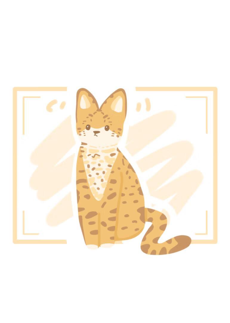 小猫咪能有什么坏心眼儿