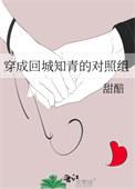 穿成回城知青的对照组苏半夏tXt 穿成回城知青的对照组苏半夏tXt