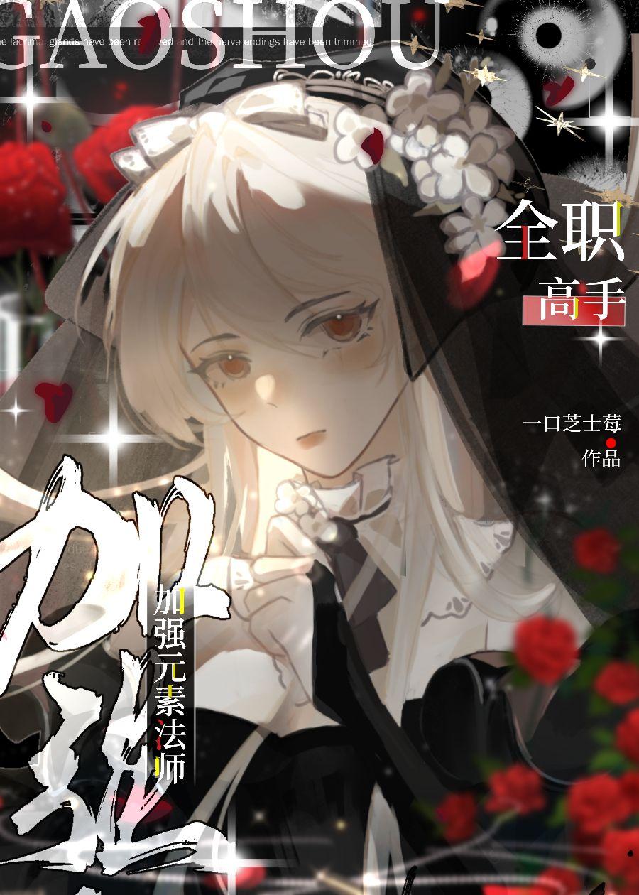 全职法师之元素至尊百度百科