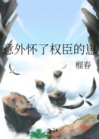 意外怀了权臣的崽后by竹叶小舟