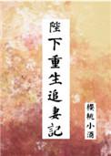 陛下重生追妻记作者樱桃小酒