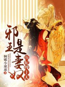 医妃嫁到邪王轻点宠