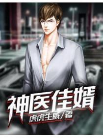 神医佳婿17集精彩片段