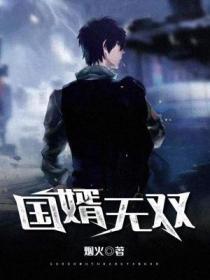 国婿无双皇无极