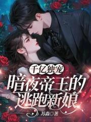 暗夜帝王的亿万宠妻 暗夜帝王的亿万宠妻