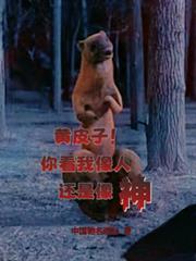 黄皮子问我是人还是神