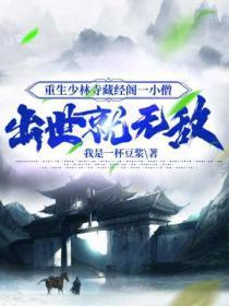 重生少林寺之藏经阁