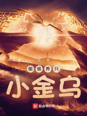 偷偷养只小金乌等级