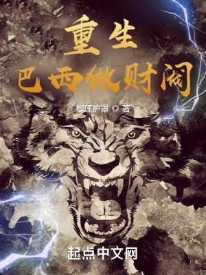 重生巴西做财阀免费全文阅读