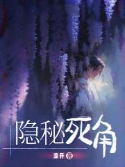 隐秘死角无防盗无错字