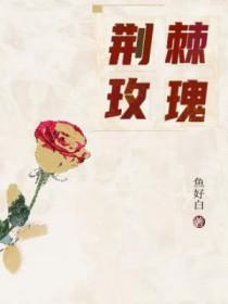 利剑玫瑰电视剧免费观看全集高清