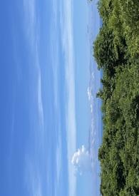 错过的青春在线观看