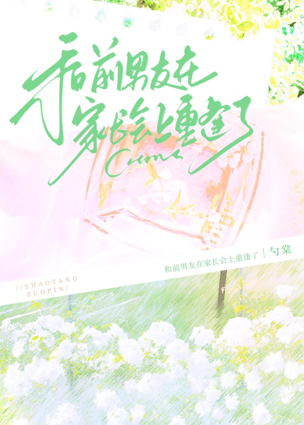 在家长会上遇前任by勺棠番外