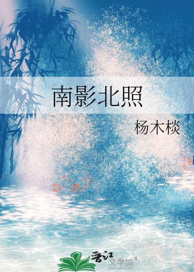 南影北照镜白TXT
