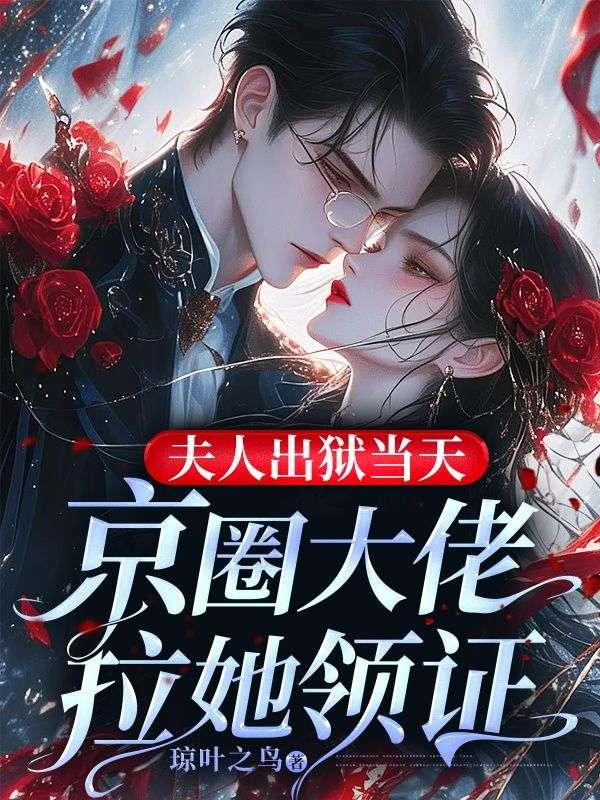 夫人被抓