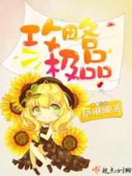 攻略极品卧底安室透原著免费阅读