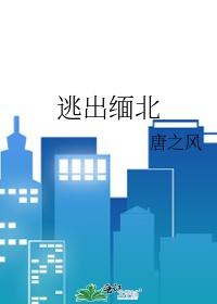 重庆小伙狂奔9小时逃出缅北