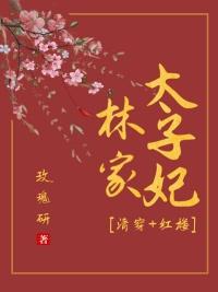清穿红楼之林家小妾