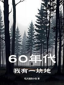 60年代我有一块地