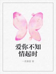 爱你不知归期全文免费阅读