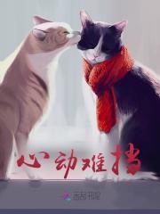 心动难挡大结局是什么