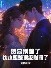 贺少的替嫁全集免费阅读