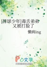 排球少年里面的排球