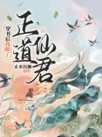 穿书后我撩了正道仙君止水沉澜讲的什么故事