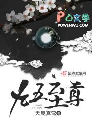 九五至尊 电视剧