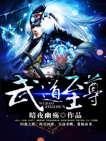 武道至尊动漫