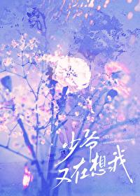少爷又在想我 晋江
