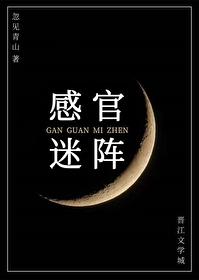感官迷阵在线阅读 感官迷阵在线阅读