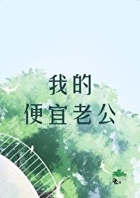 我的便宜老公免费阅读完整版