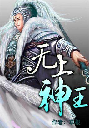 无上神王孟凡免费读