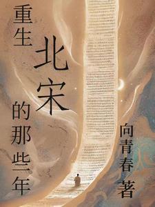 重生北宋的那些年作者