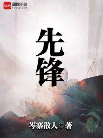 先锋镇召开服务企业专题会