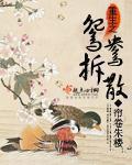 重生之鸳鸯拆散讲的是什么