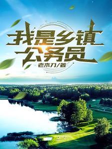 我是乡镇公务员免费