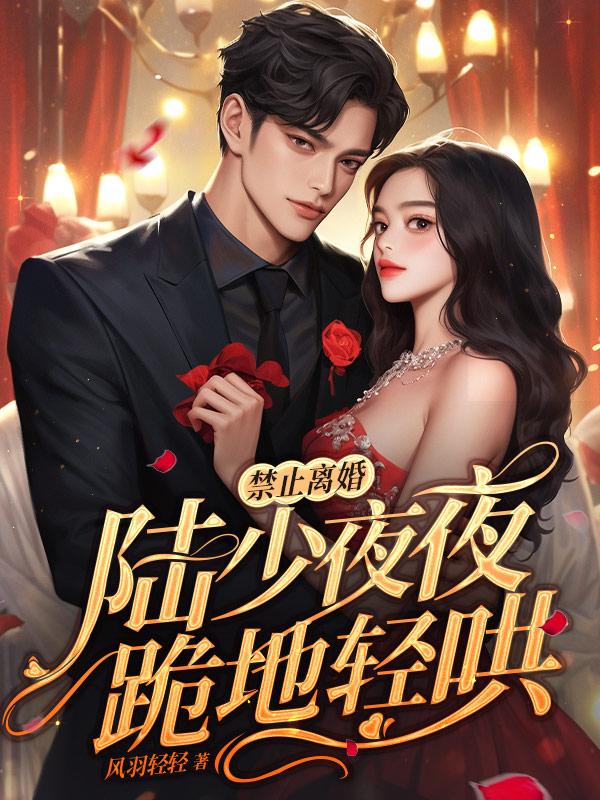 禁止离婚!陆少夜夜跪地轻哄 书旗