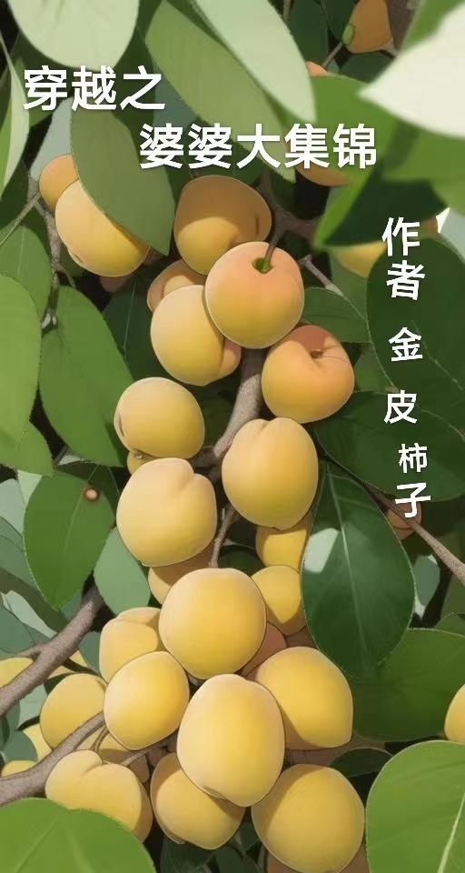 婆婆类穿越