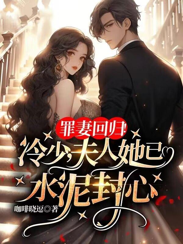 冷少二婚妻