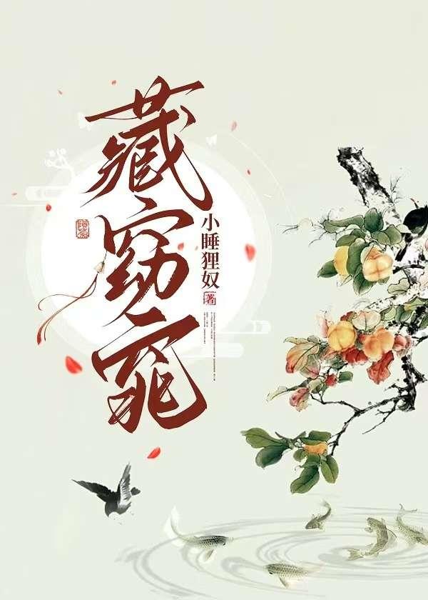 藏窈窕txt