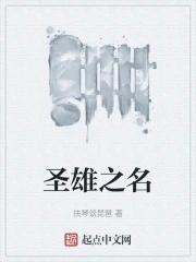 圣雄什么意思
