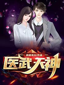 医武天神叶城版阅读