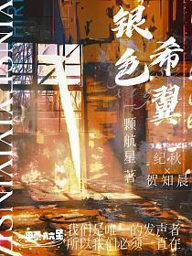 银色的羽翼 银色的羽翼