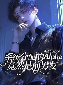 系统分配男朋友