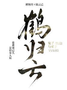 鹤归云深短剧免费观看全集最新