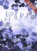 与星辰共舞是什么意思