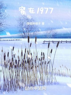 穿在1977姜丽丽是女主吗