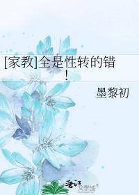 家教全是性转的错